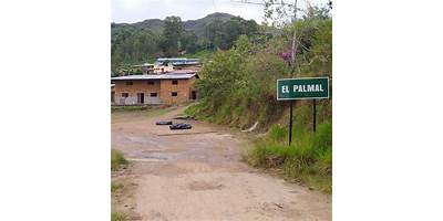 EL PALMAL