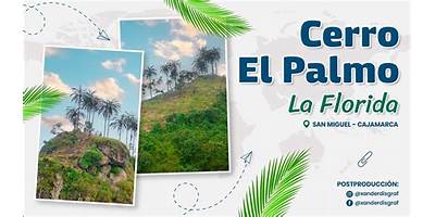EL PALMO