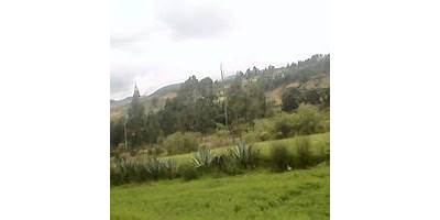 EL PUQUIO