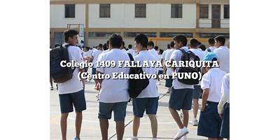 FALLAYA CARIQUITA