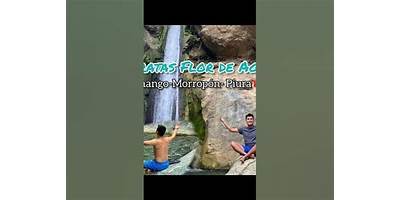 FLOR DE AGUA
