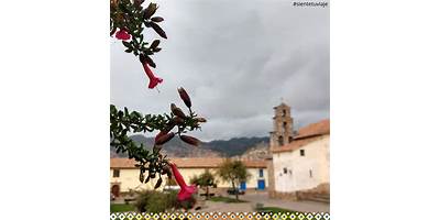 FLOR DE KANTU