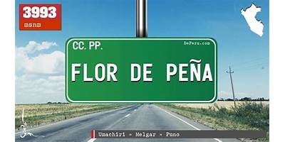 FLOR DE PEÑA