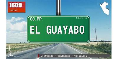 GUAYABO