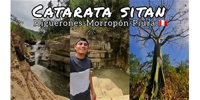 HIGUERONES