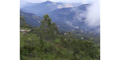 HUAMALA ALTO