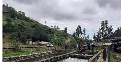 HUAYUNGA