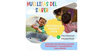 HUELLITAS DEL SABER VI
