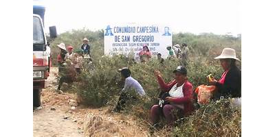 LA COMUNIDAD