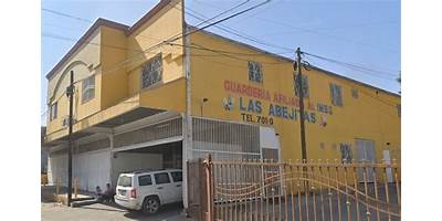 LAS ABEJITAS