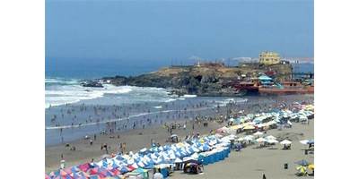 LAS GAVIOTAS