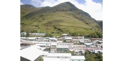 LAS MARGARITAS