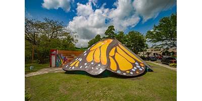 LAS MARIPOSITAS DE SALCEDO
