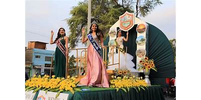 LAS ORQUIDEAS A