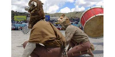LAS VICUÑITAS DE ANTAPARADA