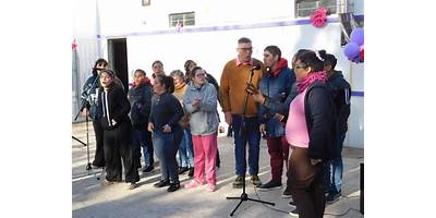 LAS VIOLETAS