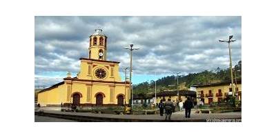 LAURELES DE VALLE ANDINO