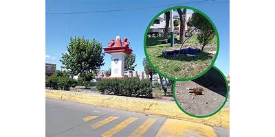 LEONCITOS JUGUETONES