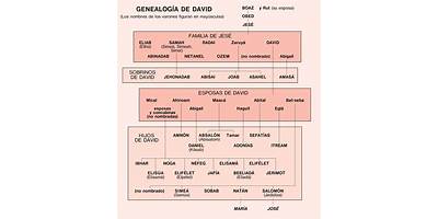 LINAJE DE DAVID II