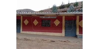 LOS ALISOS