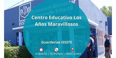 LOS AÑOS MARAVILLOSOS