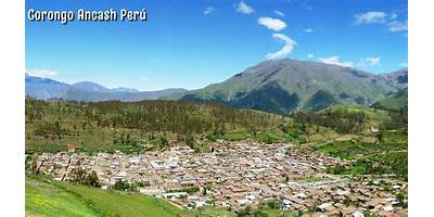 LOS ARBOLITOS VERDES