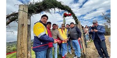 LOS CANARIOS
