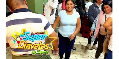 LOS CLAVELES