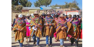 LOS CLAVELITOS DE MOLINO