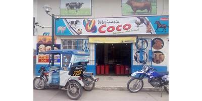 LOS COCOS