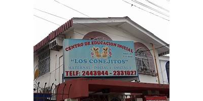 LOS CONEJITOS