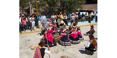 LOS JAZMINES