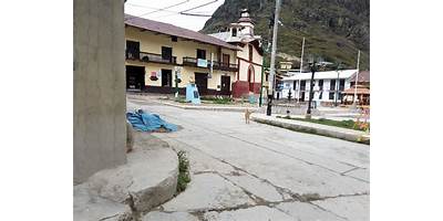 LOS JILGUERITOS