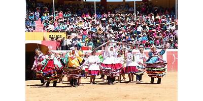 LOS LUCERITOS