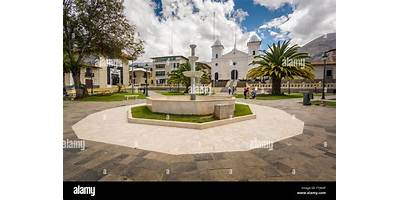 LOS NARANJOS