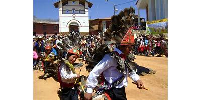 LOS PECOSITOS