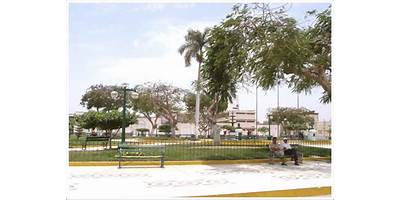 LOS PERSISTENTES
