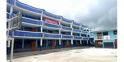 LOS POLLITOS