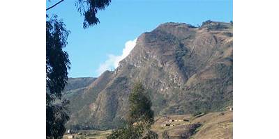 LOS ROSALES DE JESUS