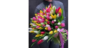 LOS TULIPANES