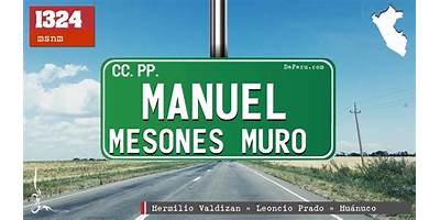 MANUEL MESONES MURO