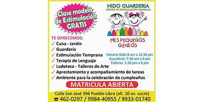 MIS NIÑOS GENIOS