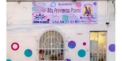 MIS PRIMEROS PASOS