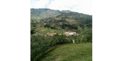 PACCHA CHIPULUC