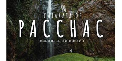 PACCHAC CHICO