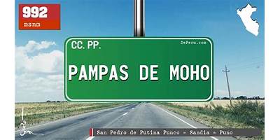 PAMPAS DE MOHO