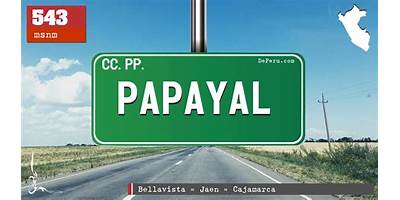 PAPAYAL
