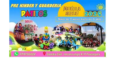 PATITOS B