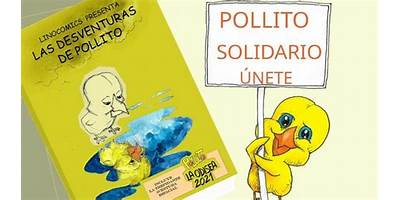 POLLITOS SOLIDARIOS