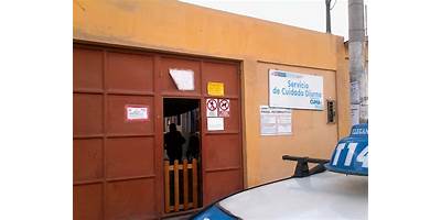 RATONCITOS